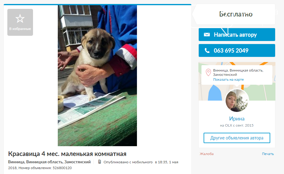 «Бесценные» друзья: собаки в хорошие руки в Виннице, фото-3 «Бесценные» друзья: собаки в хорошие руки в Виннице, фото-3