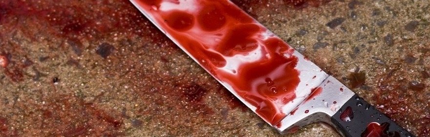 На Винниччине студент зарезал своего однокурсника: подробности На Винниччине студент зарезал своего однокурсника: подробности, Постников Николай