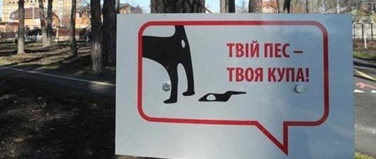 В Виннице будут штрафовать владельцев животных, которые не убирают... В Виннице будут штрафовать владельцев животных, которые не убирают за своими питомцами, Постников Николай