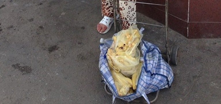 В Виннице на ул. Привокзальной оштрафовали продавщицу птицы В Виннице на ул. Привокзальной оштрафовали продавщицу птицы, Постников Николай