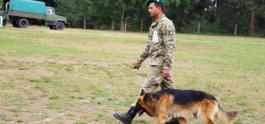 Фото пограничника с собакой на границе