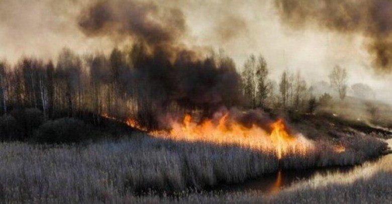 В Чернобыльскую зону направили спасателей из Винницкой области (Фото) В Чернобыльскую зону направили спасателей из Винницкой области (Фото)