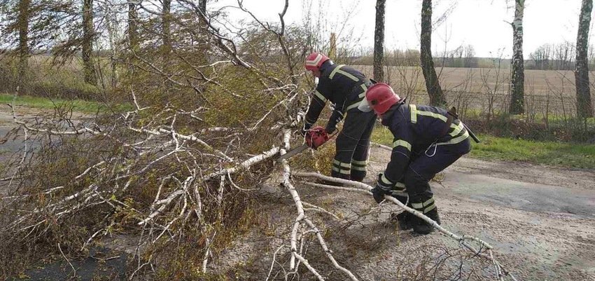На Винниччине шквальный ветер валил деревья, которые перекрыли движ... На Винниччине шквальный ветер валил деревья, которые перекрыли движение транспорта на трассе (фото)