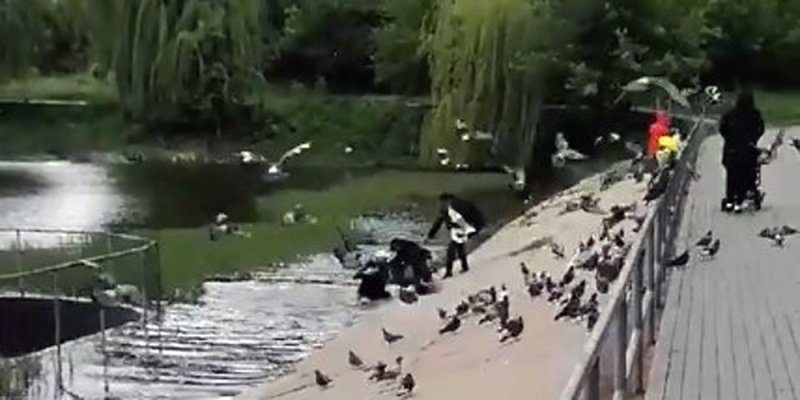В Виннице случайный прохожий спас ребенка, упавшего в озеро (видео) В Виннице случайный прохожий спас ребенка, упавшего в озеро (видео)