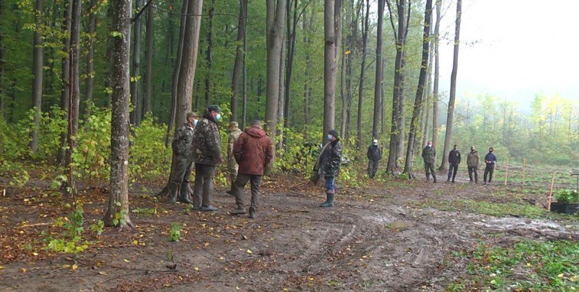 В Винницкой области за сутки высадили более 100 000 деревьев. Фото В Винницкой области за сутки высадили более 100 000 деревьев. Фото