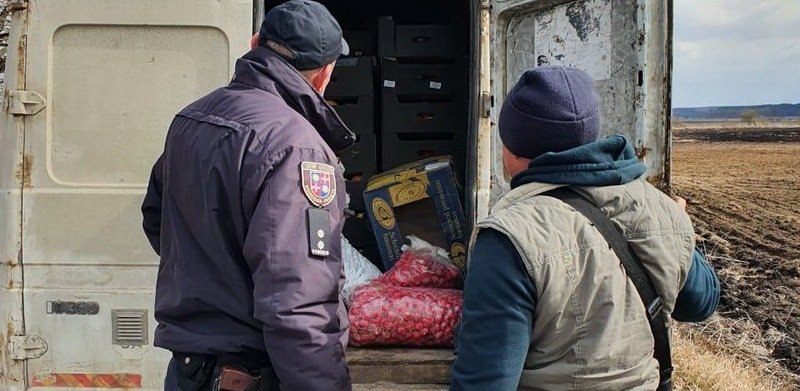 На Винниччине обнаружили Африканскую чуму свиней 
