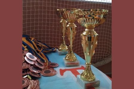 На «Кубку чемпіонів» з тхеквондо 15 нагород здобули вінничани