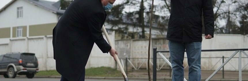 Працівники теруправління ДБР, що діє на Вінниччині, висадили липову алею