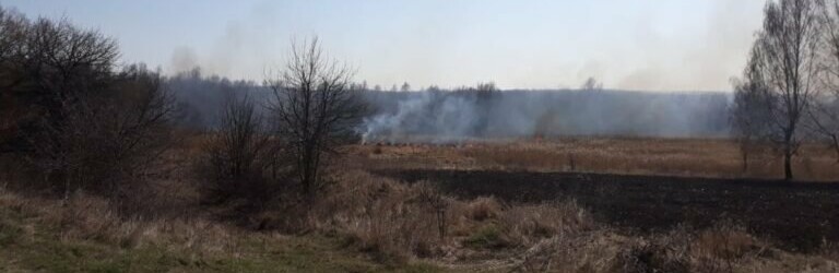 На Вінниччині місцева жителька заплатить штраф за спалення сухої рослинності