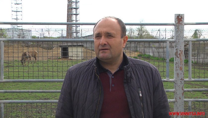 У Вінниці вакцинували тварин з Подільського зоопарку