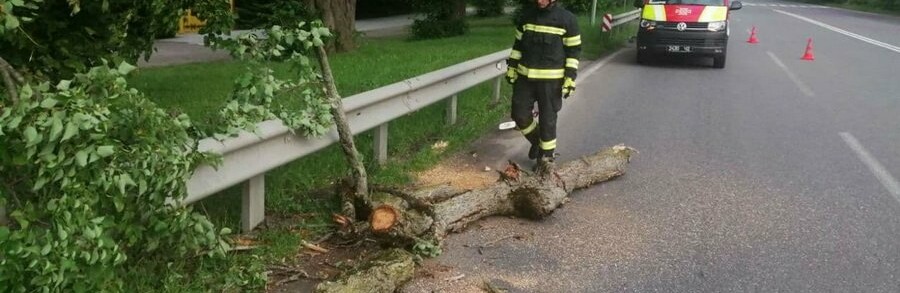 На Вінниччині рятувальники прибирали з доріг повалені вітром дерева