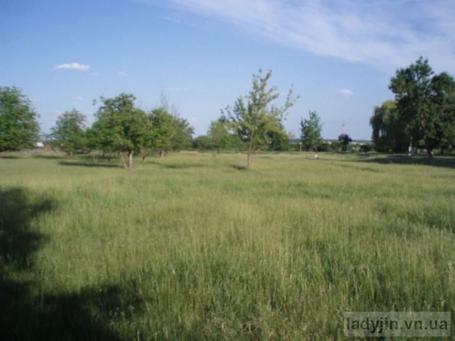 дендропарк1