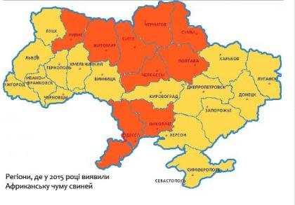 Фермери можуть спати спокійно - Африканської чуми свиней на Вінниччині немає (фото) - фото 1